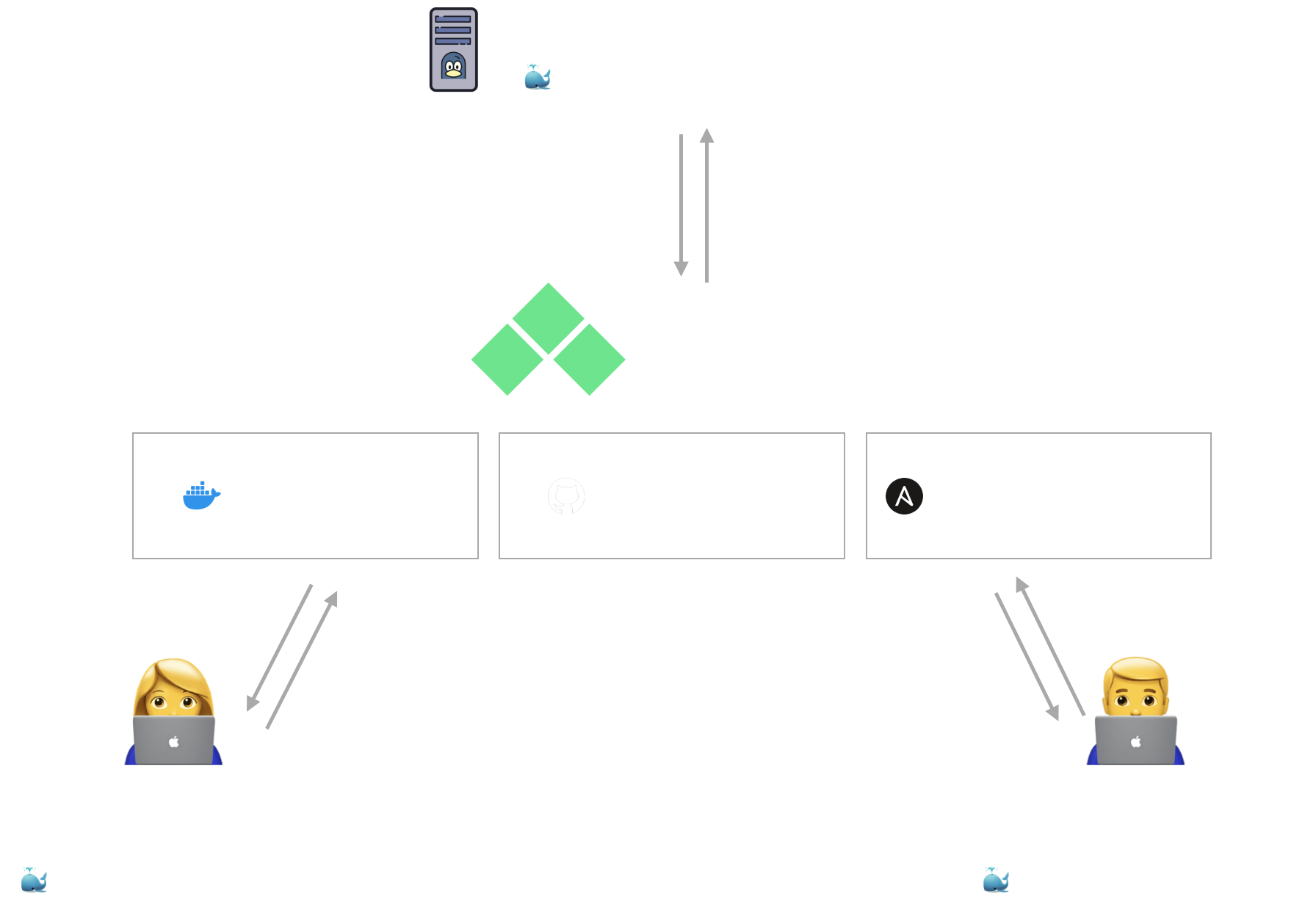 Spin Diagram